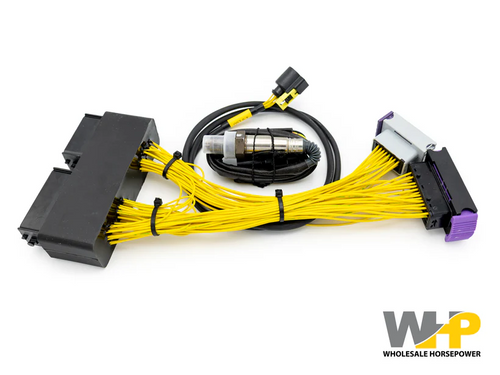 ECU Master Mitsubishi Evo X PNP For EMU Black