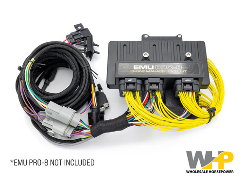 ECU Master Polaris RZR Pro R Adapter