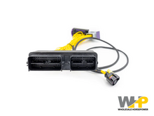 Load image into Gallery viewer, ECU Master Mitsubishi Evo X PNP For EMU Black