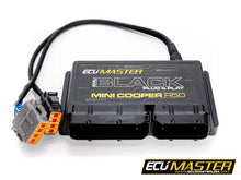 Load image into Gallery viewer, ECU Master Mini Cooper R50 EMU Black Plug in ECU
