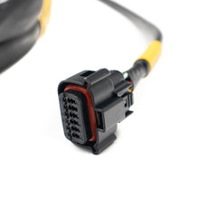 Load image into Gallery viewer, FuelTech Polaris RZR Pro R adapter harness OEM connectors