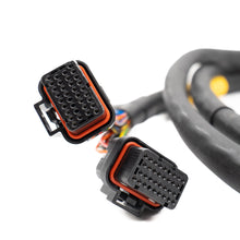 Load image into Gallery viewer, FuelTech Polaris RZR Pro R adapter harness full length view