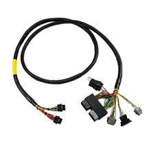 Load image into Gallery viewer, FuelTech FT550 Rotax 300 harness 8 ft version