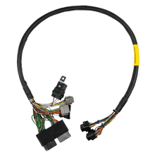 Load image into Gallery viewer, FuelTech FT550 Sea-Doo Rotax 300 adapter harness