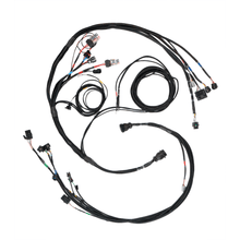 Load image into Gallery viewer, FuelTech FT450/550 Sportsman datalogging A harness